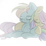 sleepy fillies