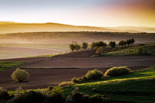 Romanian Tuscany