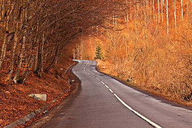 Romanian Roads.1