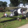 Replica Nieuport 17B