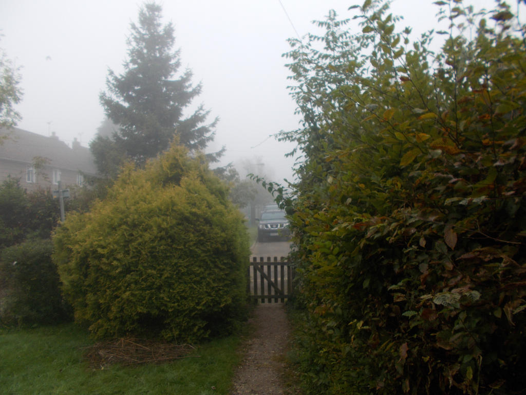 A foggy morning in Green Lane