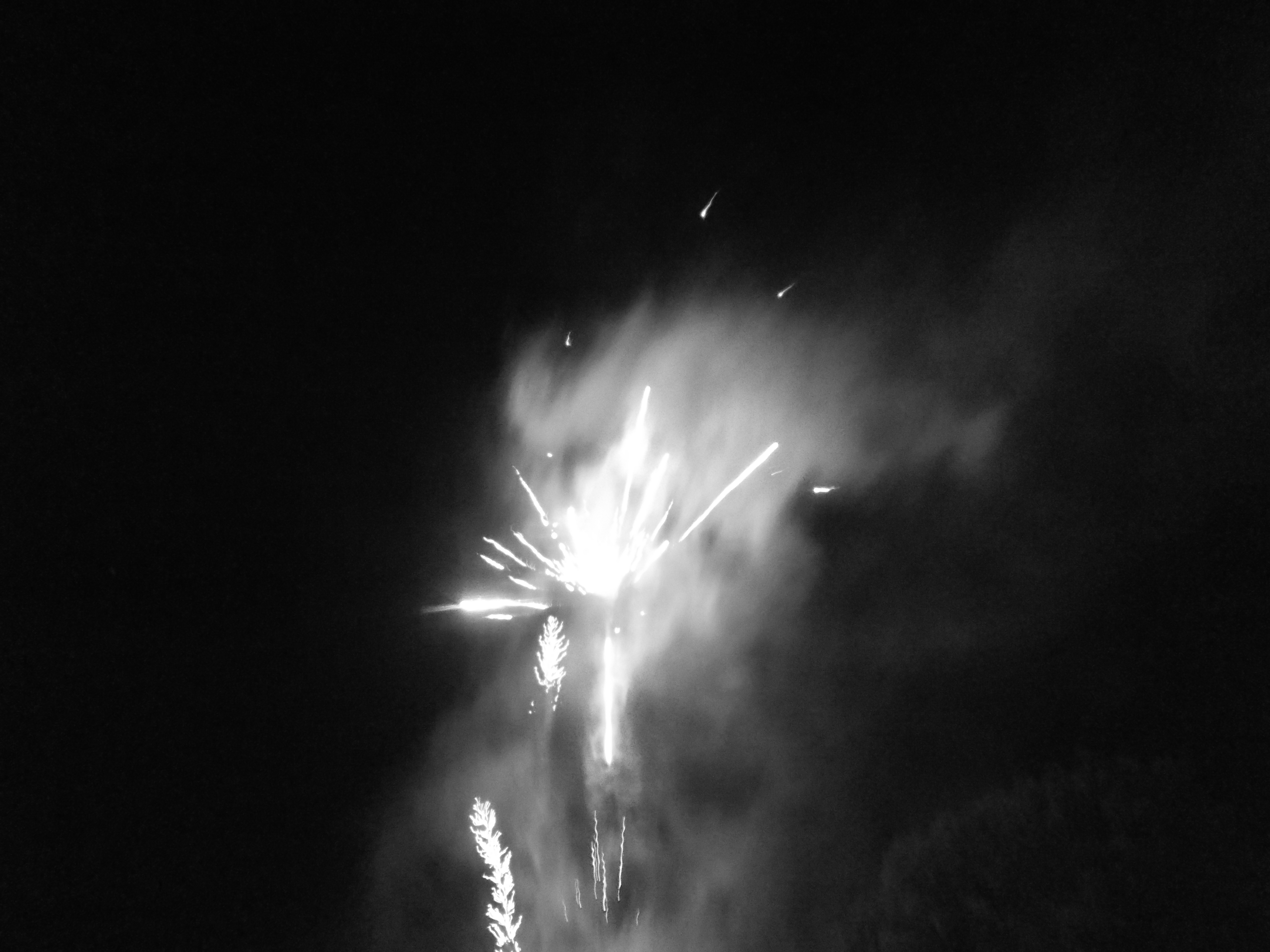 Black and white fireworks