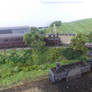 Train On The Ashover Butts Diorama