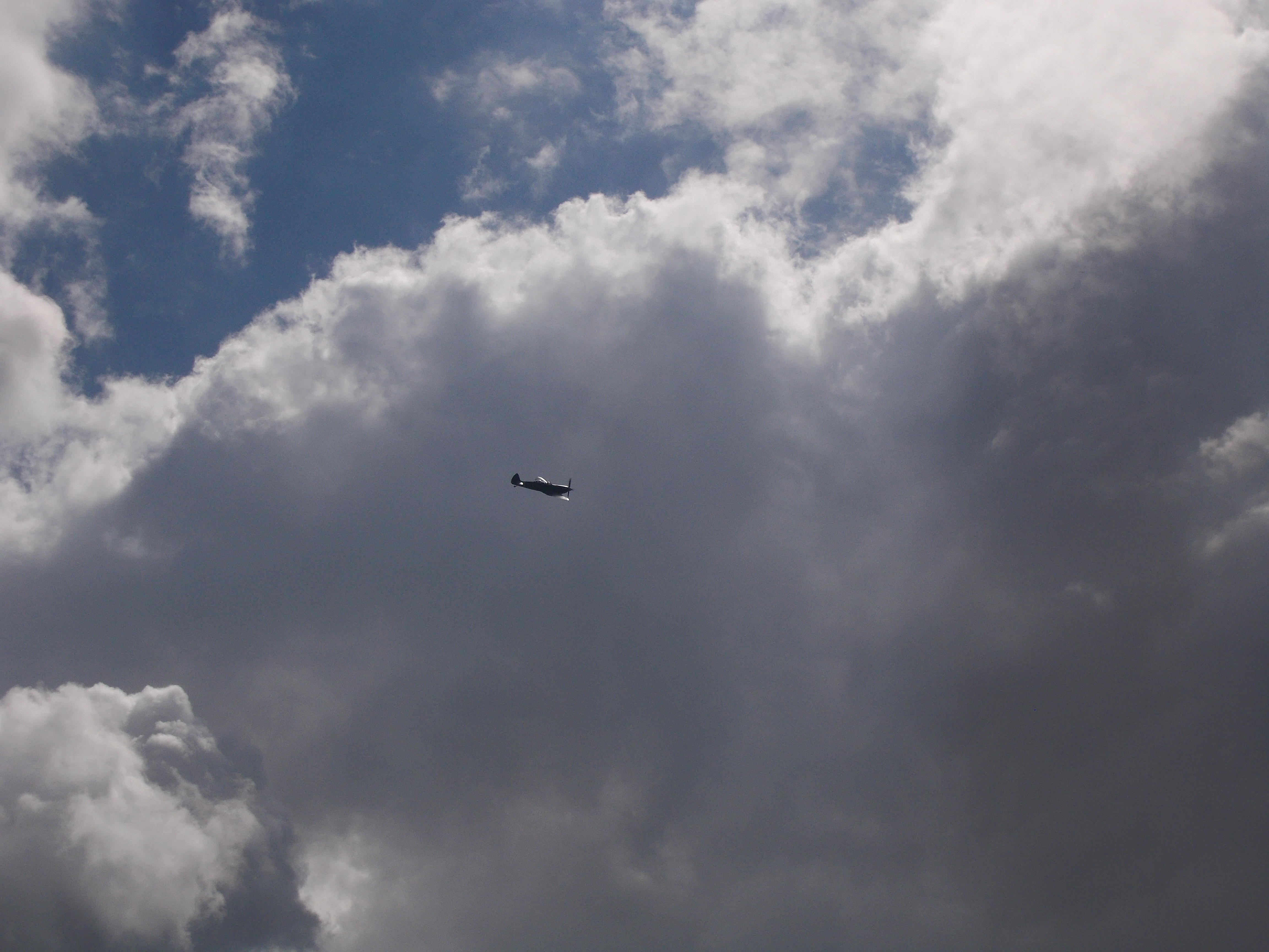 Spitfire In The Sky