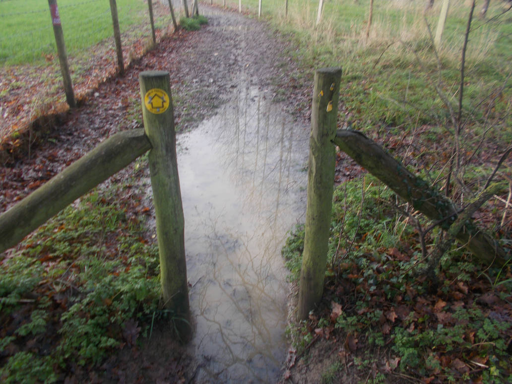Puddle At The Path Entrance by FFDP-Neko on DeviantArt