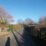 Looking Back Down A Lane