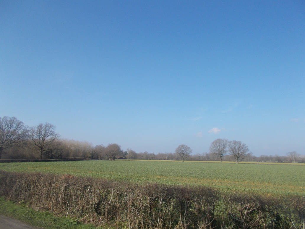 Hedged Field Field Over The Hedge by FFDP-Guy on DeviantArt