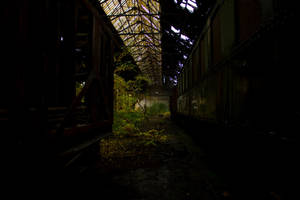 Istvantelek Train Graveyard - Nature