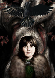 Bran and the Three Eyed Crow