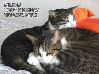 Miyu And Miku 3rd anniversary