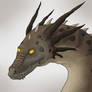 Dragon avatar 1