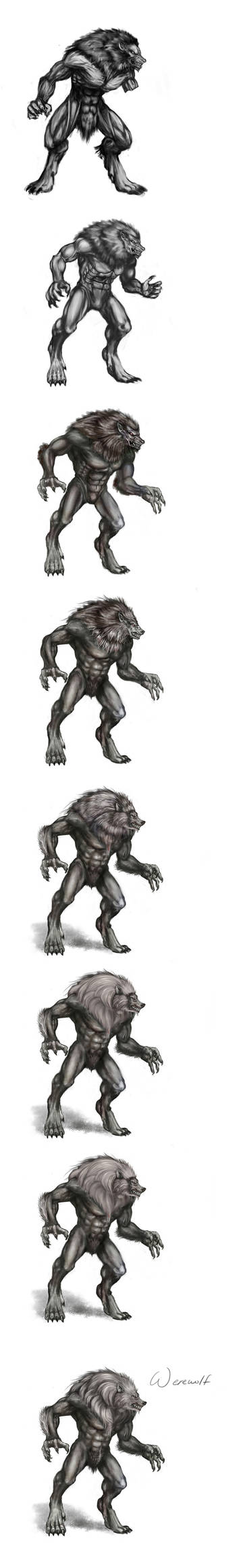 Werewolf Evolution by Bloo-Ocean on DeviantArt