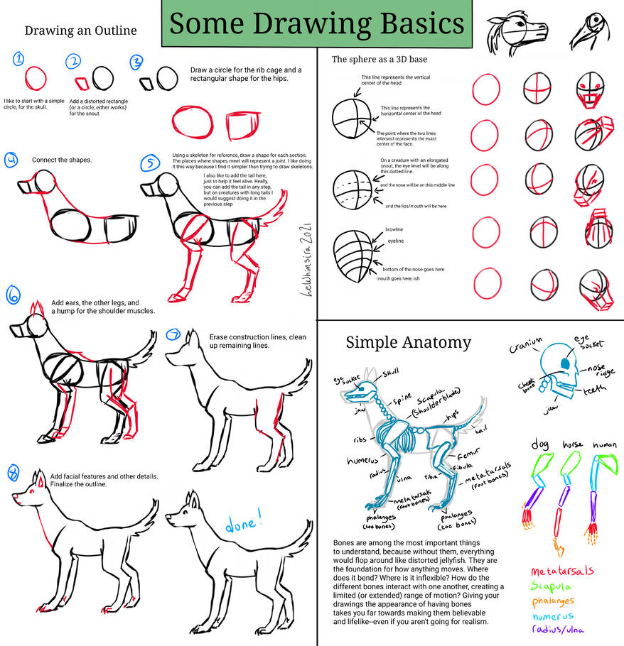 Drawing Basics Tutorial by LeWhimsira on DeviantArt