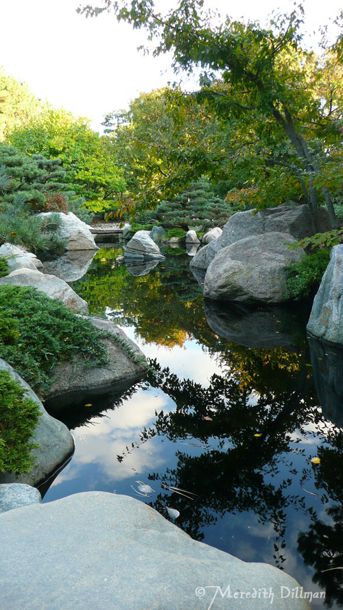 Japanese Garden