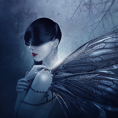 Wings Of Fantasy by alkab-art Wings Of Fantasy by alkab-art