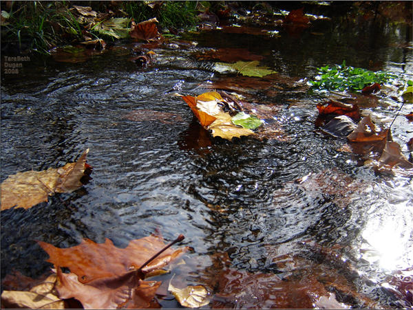 Floating Into Fall Floating Autumn by kitfox7 on DeviantArt
