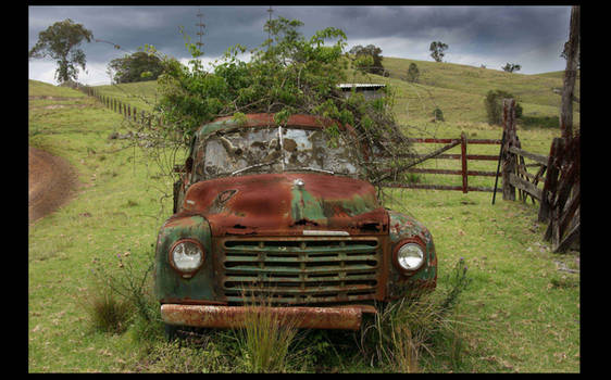 The old bloody ute