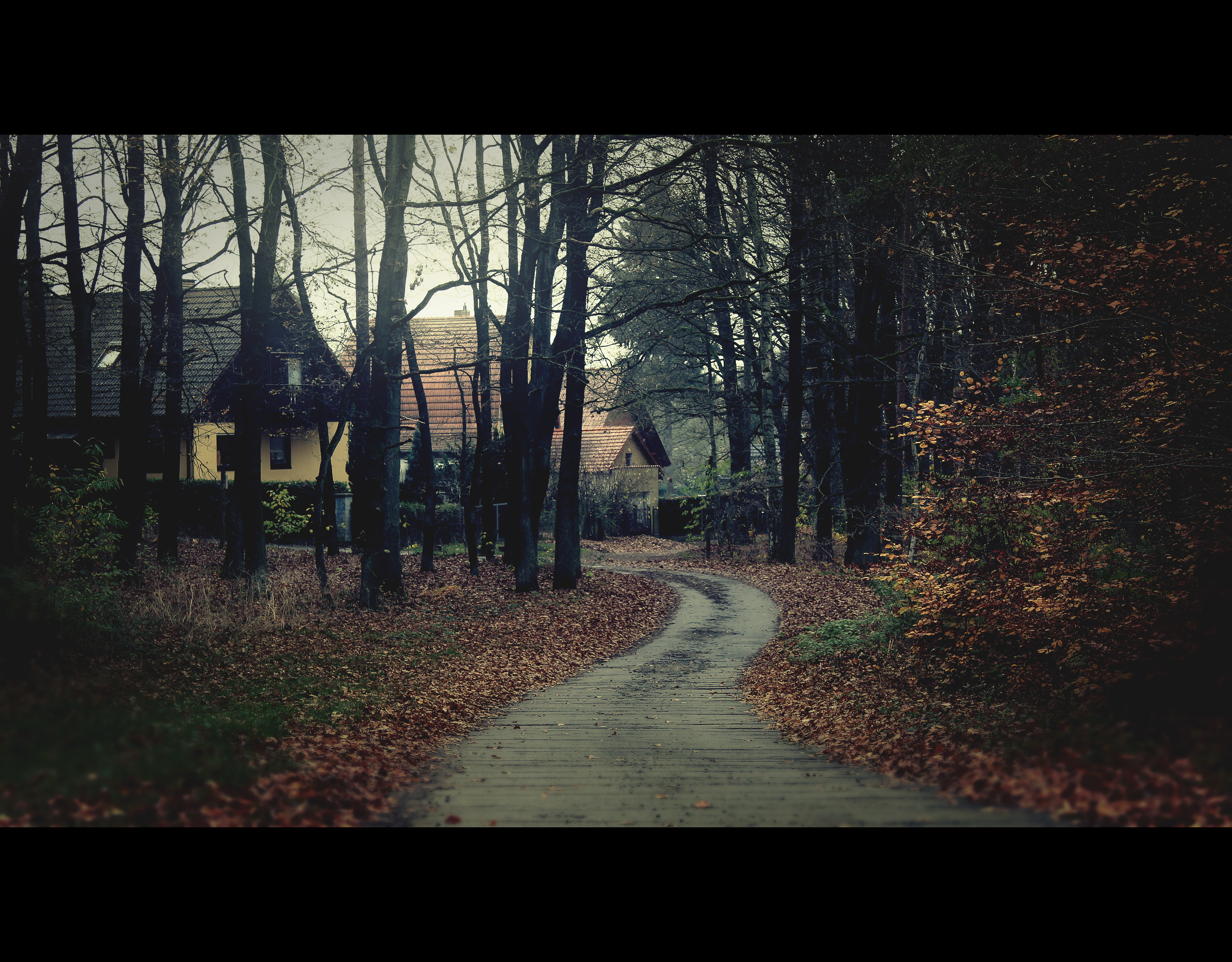 Autumn Road