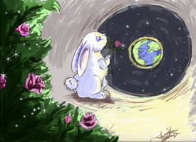 Rabbit on the Moon