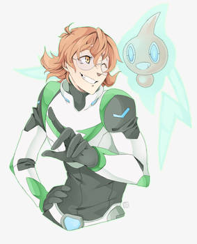 Pokemon Paladin Trainers: Pidge and Rotom