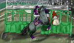Starting gate blues| Devils mile maiden race by Ali-Catswild