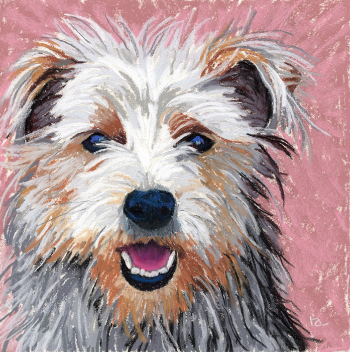 Yorkshire terrier dog portrait