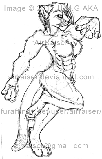 Muscle Cougar Sketch Sale 2012