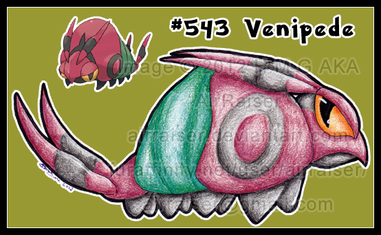 Pokemon: Venipede 2012