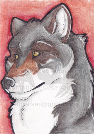 ATC: Timber Wolf 2013