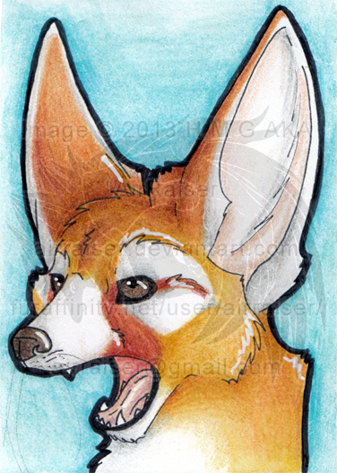 ATC: Fennec Fox 2013