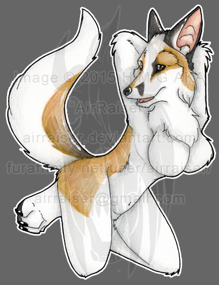 Original: Female Fox 2015