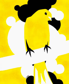 Canary Bird