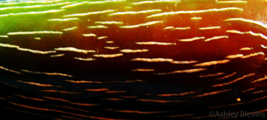 Gradient Color Deviantart Gradient by AlinaKei on DeviantArt