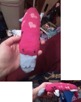 Sock Platypus