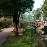 bridge in golden gate park