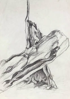 Tree Drawing