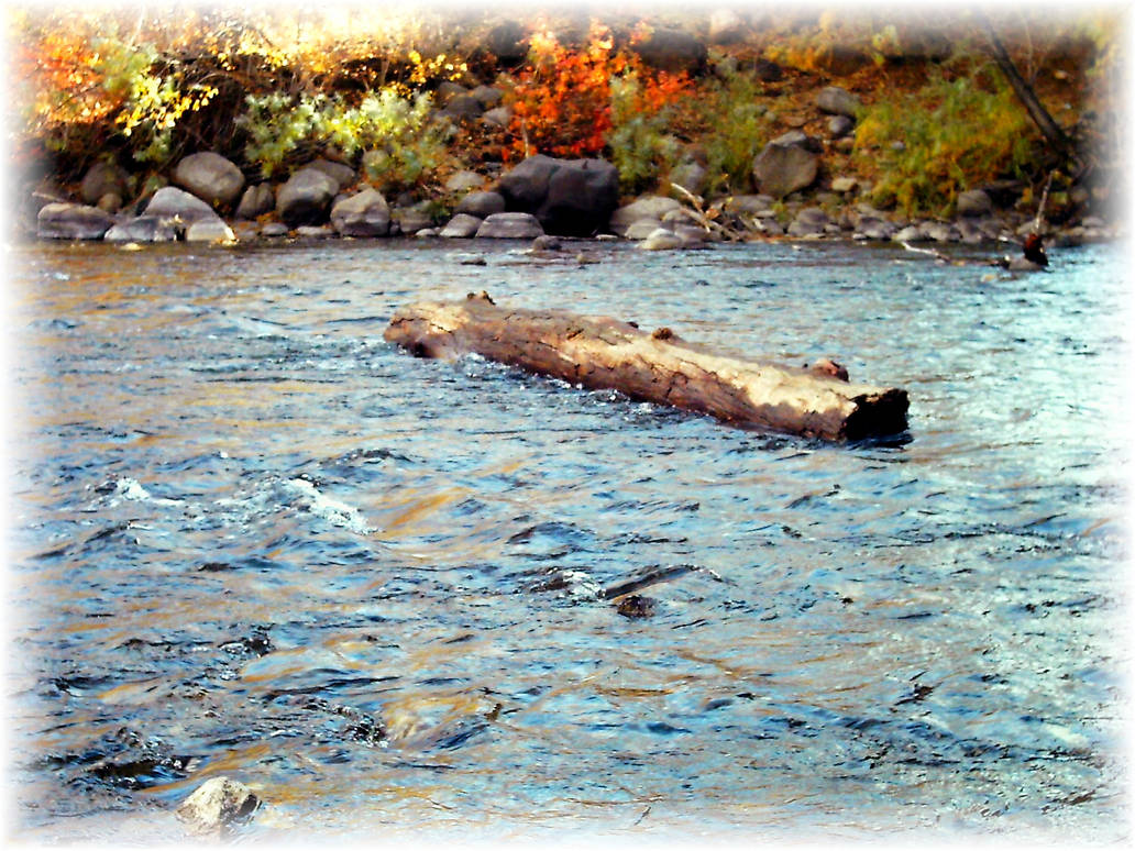 Just a Lump on a Log by Dizzy-Kittens on DeviantArt