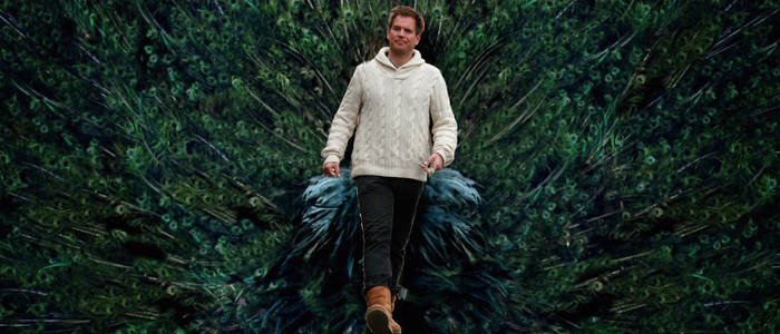 Tony DiNozzo - Peacock