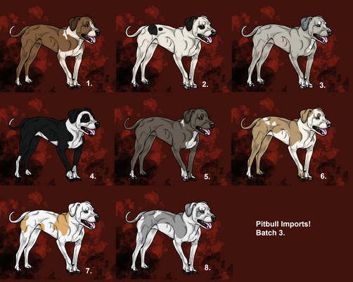 Pitbull Imports OPEN