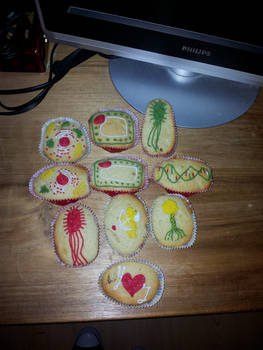 Biology cupcakes