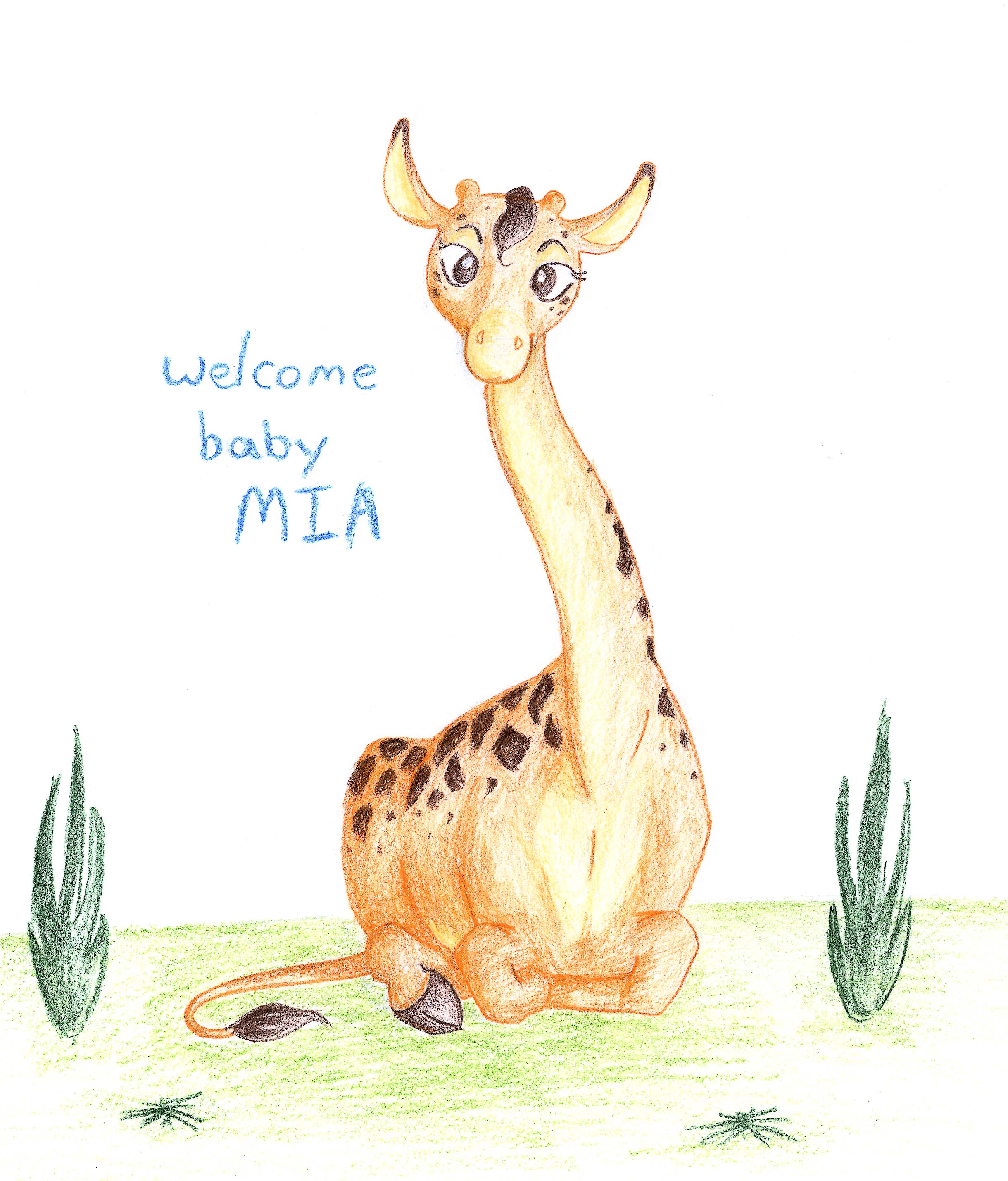 a welcome card for baby mia