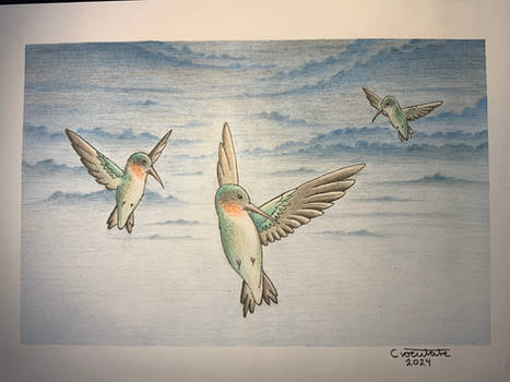 Hummingbirds