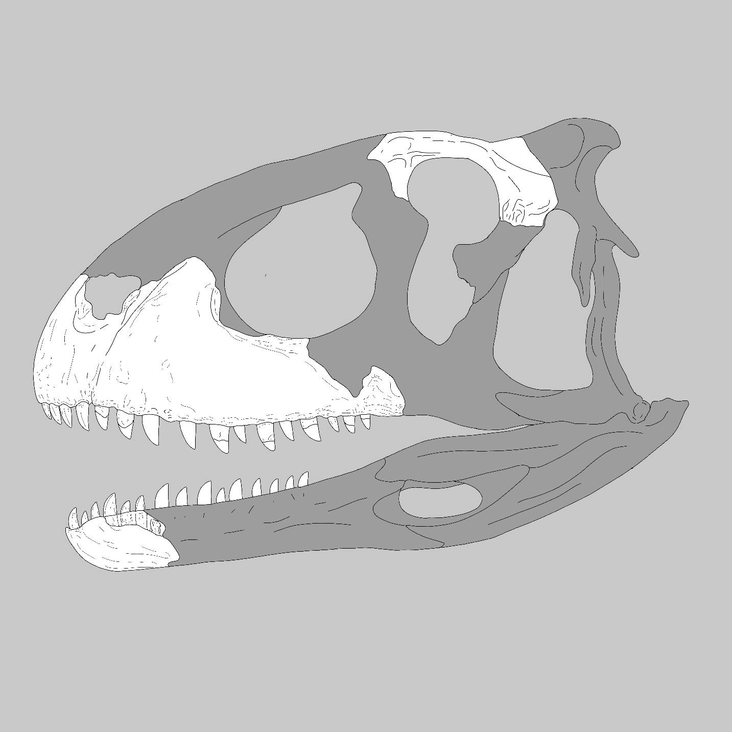 Indosuchus Raptorius indosuchus by Hamedpaleoart on DeviantArt