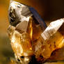 Smoky Quartz Crystal