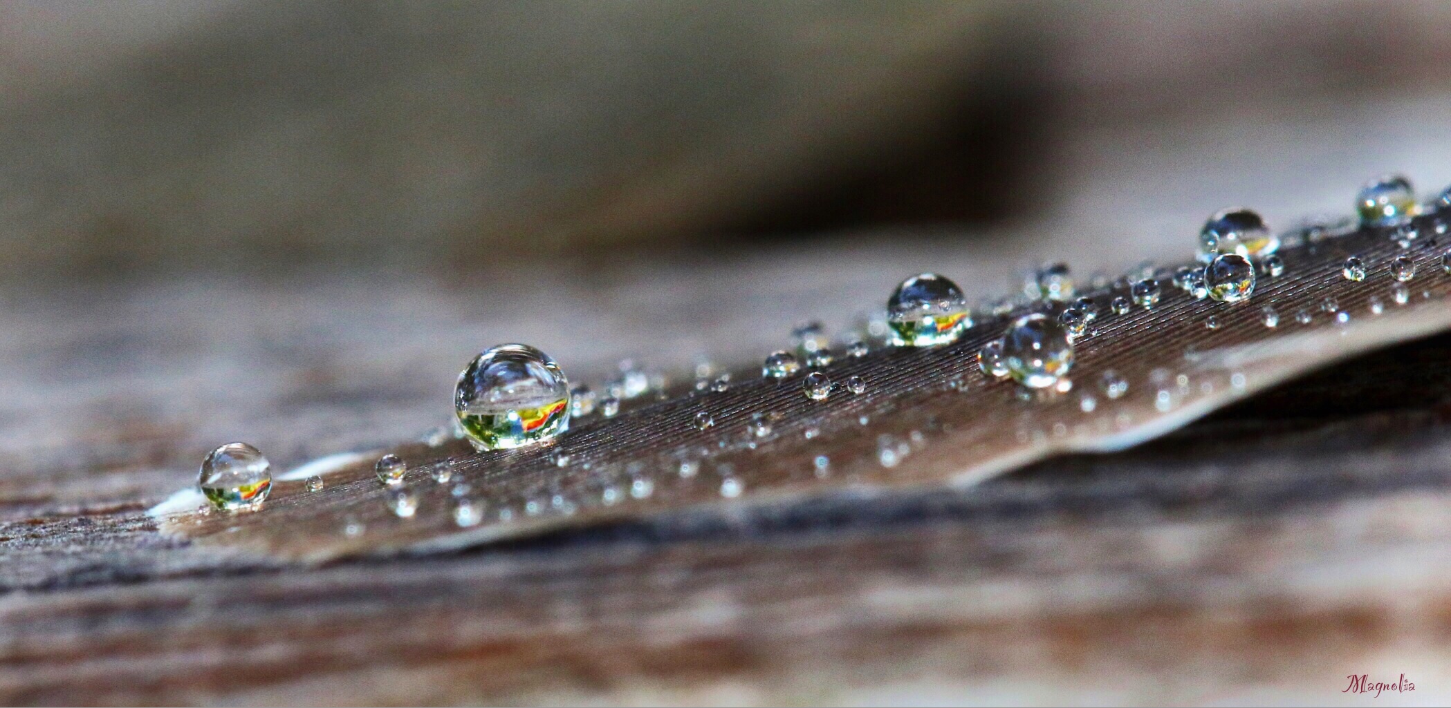 Water Marbles