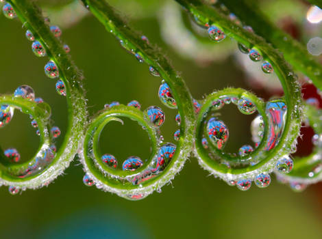 Water Art Refraction