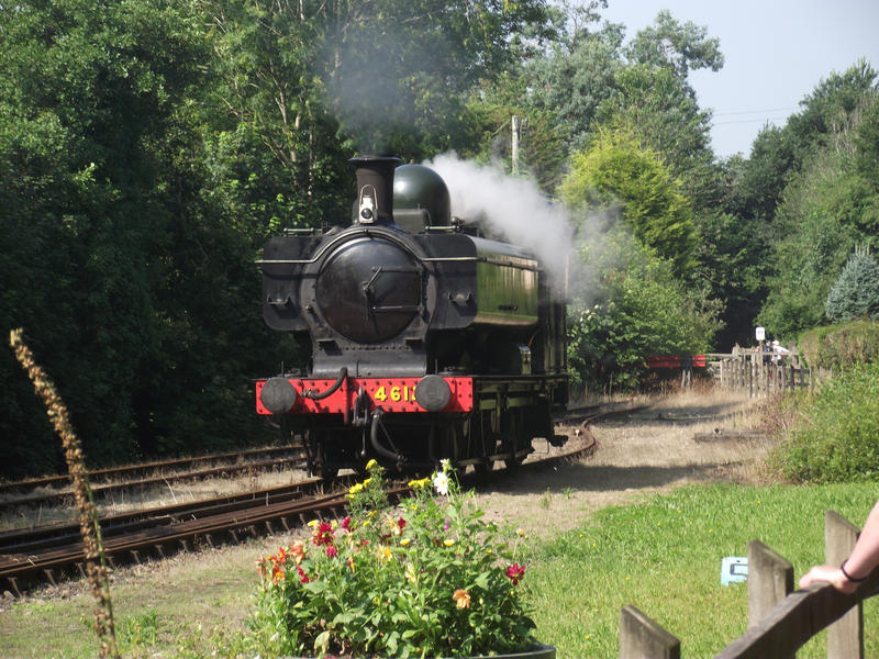 Flower Steam Engine Steam and flowers by ZiggyShadowDust on DeviantArt
