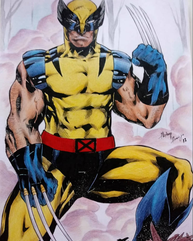 Wolverine Colors by adrianoaraujo22 on DeviantArt