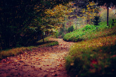 Autumn garden