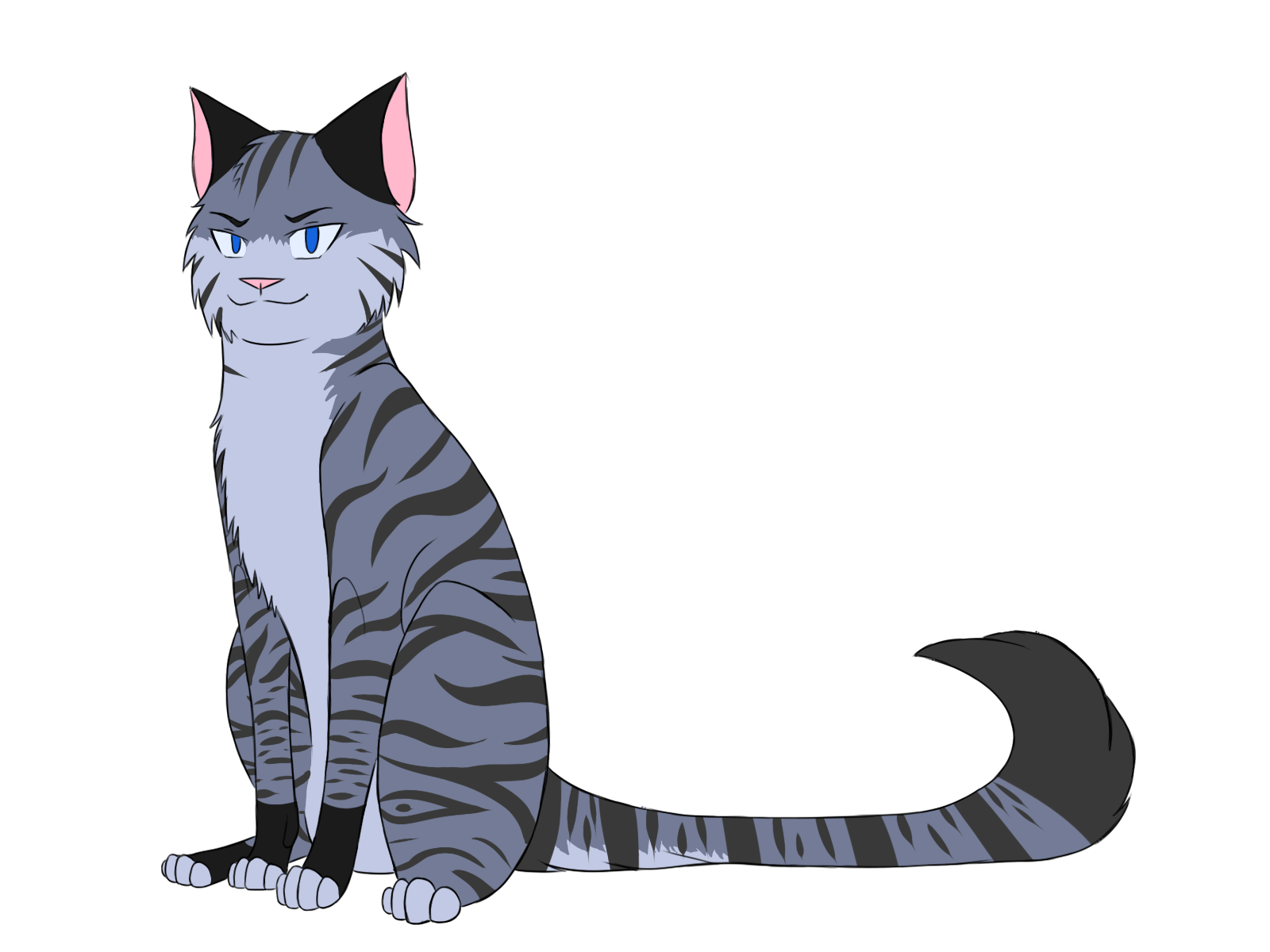 Cat Design 1